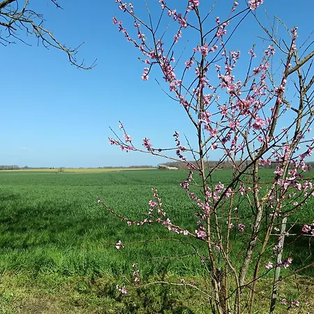 Σπίτι διακοπών De L'oeillet