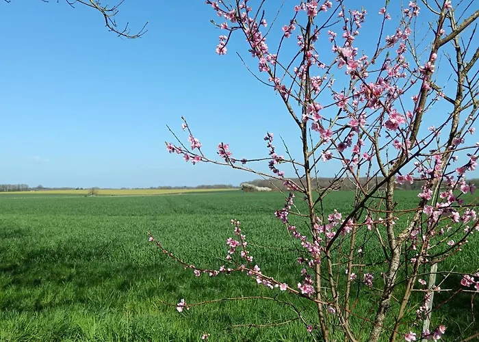 Vakantiehuis De L'oeillet